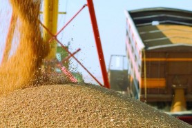 Primele negocieri Ucraina-Rusia pentru deblocarea exporturilor de cereale